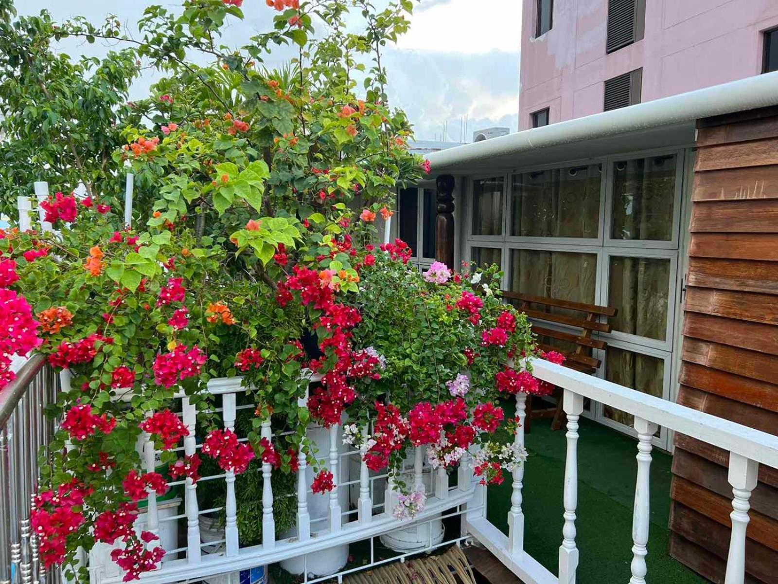 Rooftop Inn 말레 외부 사진